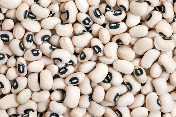 Which Country Produces the Most Cow Peas in the World?